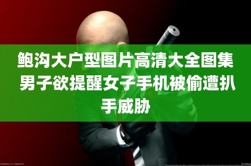 鲍沟大户型图片高清大全图集 男子欲提醒女子手机被偷遭扒手威胁