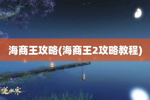 海商王攻略(海商王2攻略教程)