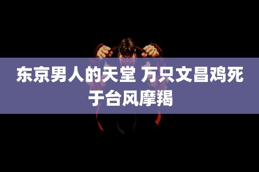 东京男人的天堂 万只文昌鸡死于台风摩羯