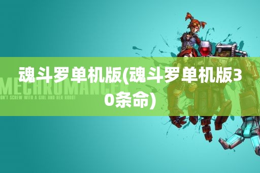 魂斗罗单机版(魂斗罗单机版30条命)