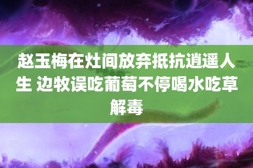 赵玉梅在灶间放弃抵抗逍遥人生 边牧误吃葡萄不停喝水吃草解毒