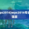 (wps2016)wps2016专业增强版