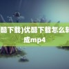 (优酷下载)优酷下载怎么转换成mp4