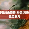 鸭王在线免费看 刘德华邀你一起见非凡