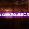 黑白2攻略(黑白2攻略二周目)