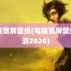 电脑宽屏壁纸(电脑宽屏壁纸高清2020)