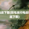 闪电战下载(羽毛球闪电战破解版下载)