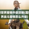 魔兽世界宠物升级攻略(魔兽世界战斗宠物怎么升级)