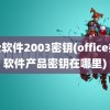 办公软件2003密钥(office办公软件产品密钥在哪里)