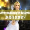 财务软件破解版(财务软件破解版是什么意思)