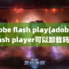 adobe flash play(adobe flash player可以卸载吗)