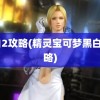 黑白2攻略(精灵宝可梦黑白2攻略)