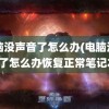 电脑没声音了怎么办(电脑没声音了怎么办恢复正常笔记本)