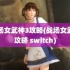 战场女武神3攻略(战场女武神攻略 switch)