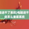 (电脑进不了系统)电脑进不了系统怎么重装系统