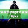 龙之谷绿龙攻略(龙之谷绿龙攻略pc)