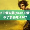 flash下载安装(flash下载安装不了怎么办)1207