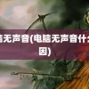 电脑无声音(电脑无声音什么原因)