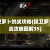 保卫萝卜挑战攻略(保卫萝卜挑战攻略图解35)