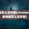 电脑怎么没声音(vivotws2连接电脑怎么没声音)