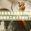 色多多草莓丝瓜榴莲秋葵 孙卓到南京工业大学报到了