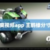 超爽视频app 王鹤棣分寸感