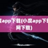 小度app下载(小度app下载官网下载)