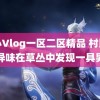 糖心Vlog一区二区精品 村民闻到异味在草丛中发现一具男尸