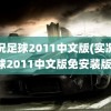 实况足球2011中文版(实况足球2011中文版免安装版)