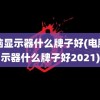 电脑显示器什么牌子好(电脑显示器什么牌子好2021)