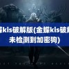 金蝶kis破解版(金蝶kis破解版未检测到加密狗)