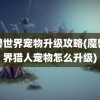 魔兽世界宠物升级攻略(魔兽世界猎人宠物怎么升级)