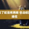 他忘了蛇是有两根 张远收到了捧花