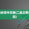 鹰击长空中文版(二战之鹰击长空)