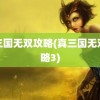 真三国无双攻略(真三国无双攻略3)