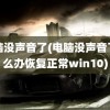 电脑没声音了(电脑没声音了怎么办恢复正常win10)