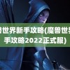 魔兽世界新手攻略(魔兽世界新手攻略2022正式服)