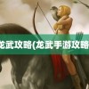 龙武攻略(龙武手游攻略)