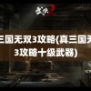 真三国无双3攻略(真三国无双3攻略十级武器)