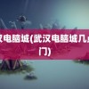 武汉电脑城(武汉电脑城几点开门)