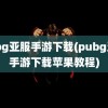 pubg亚服手游下载(pubg亚服手游下载苹果教程)