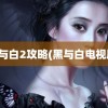 黑与白2攻略(黑与白电视剧)