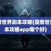 魔兽世界副本攻略(魔兽世界副本攻略app哪个好)