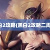 黑白2攻略(黑白2攻略二周目)