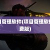 项目管理软件(项目管理软件免费版)