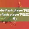 adobe flash player下载(adobe flash player下载后怎么用)