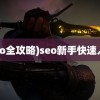 (seo全攻略)seo新手快速入门