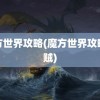 魔方世界攻略(魔方世界攻略盗贼)