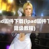 ipad固件下载(ipad固件下载降级教程)