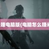 米赚电脑版(电脑怎么赚米)